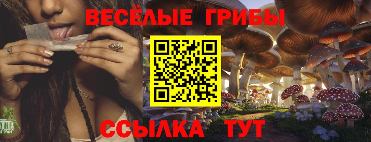 Галлюциногенные грибы GOLDEN TEACHER  Вход с VPN  Карталы 